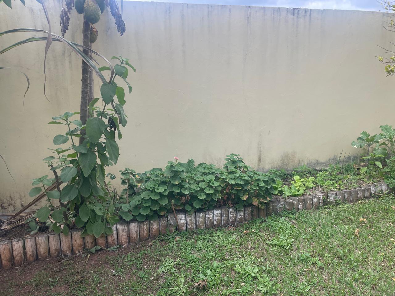 IMG-20250731-WA0043