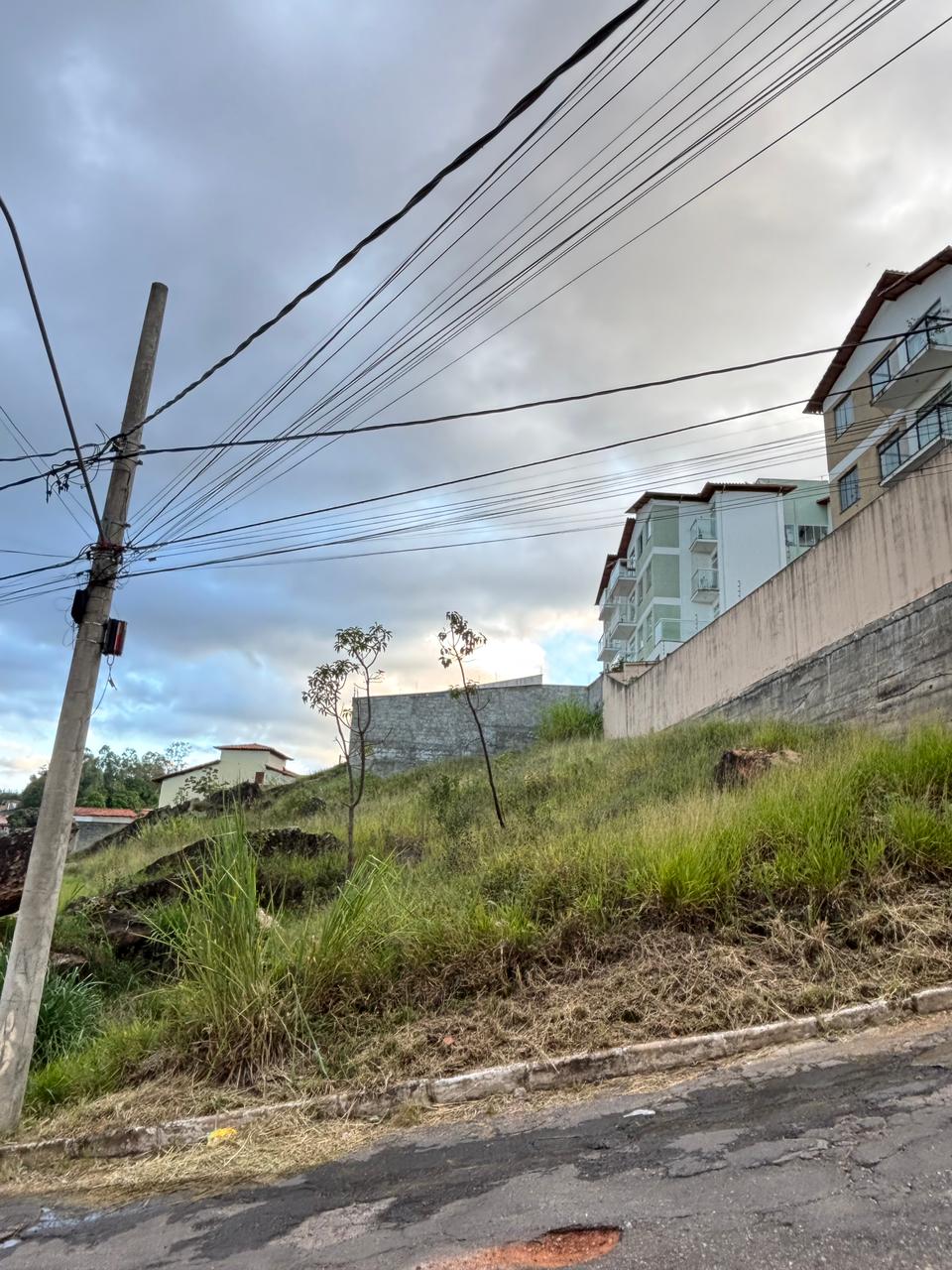 WhatsApp Image 2026-03-06 at 14.42.46 (1)