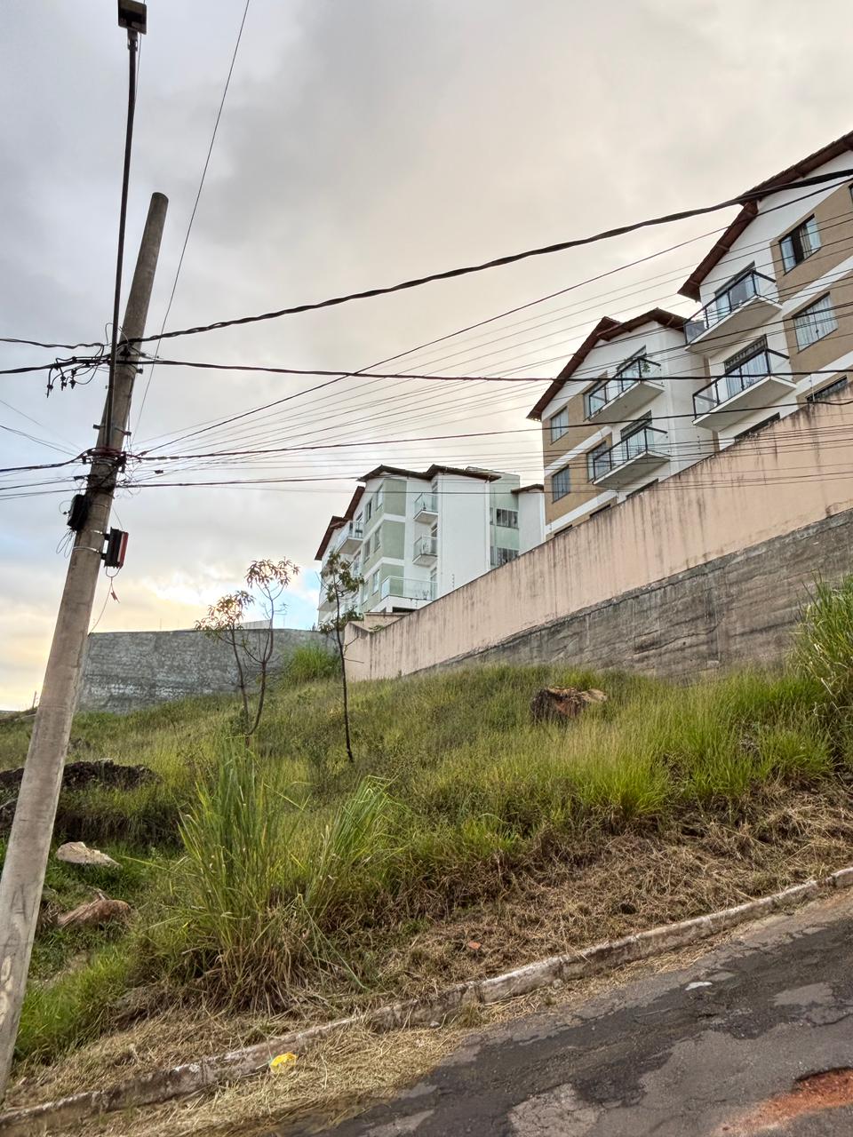 WhatsApp Image 2026-03-06 at 14.42.46 (2)