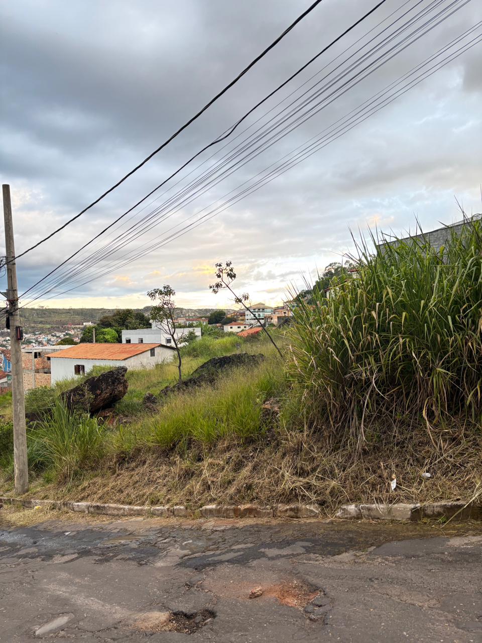 WhatsApp Image 2026-03-06 at 14.42.46