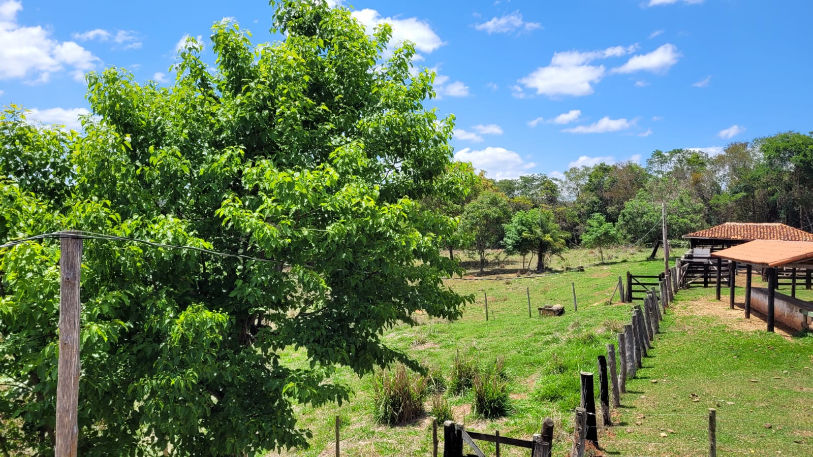 WhatsApp Image 2026-04-15 at 13.51.49