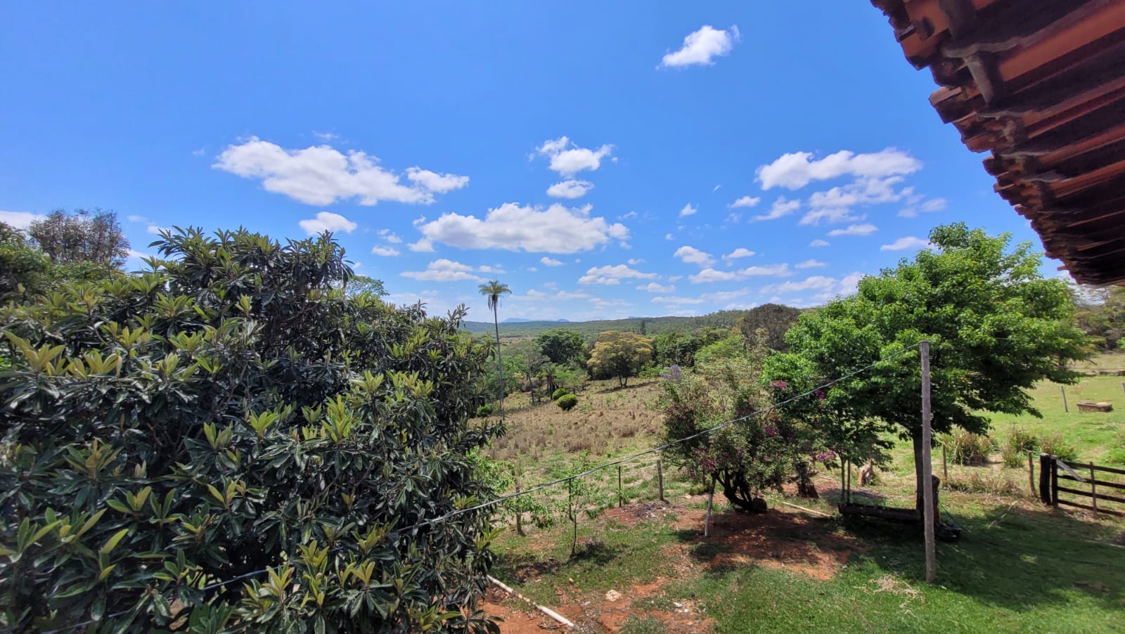 WhatsApp Image 2026-04-15 at 13.51.50 (1)