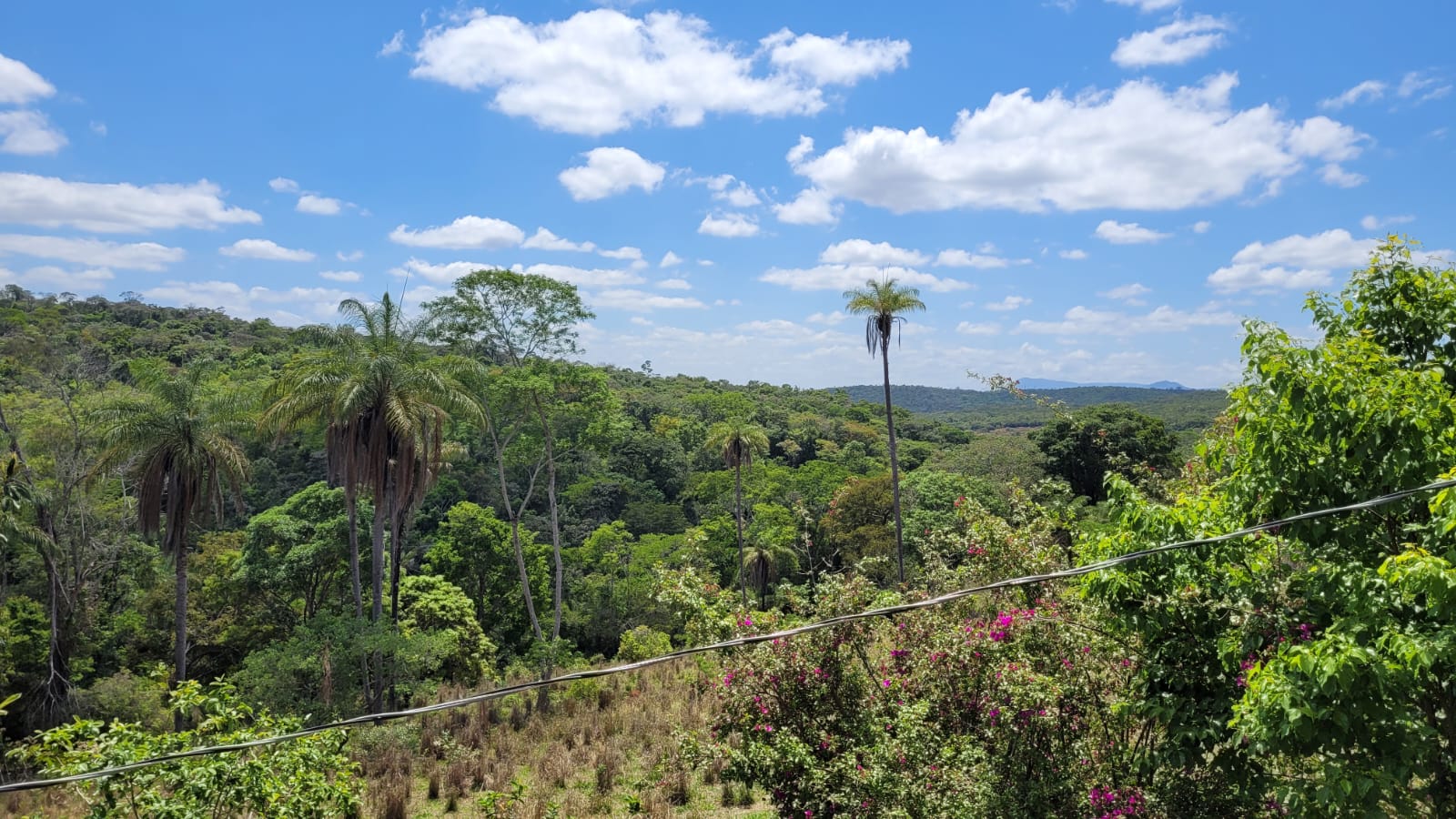 WhatsApp Image 2026-04-15 at 13.51.50