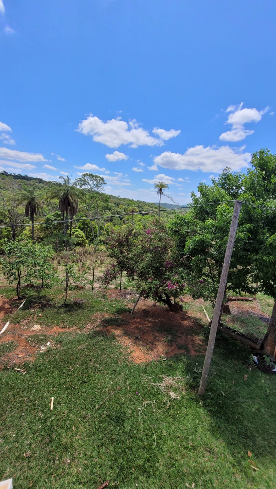 WhatsApp Image 2026-04-15 at 13.51.51