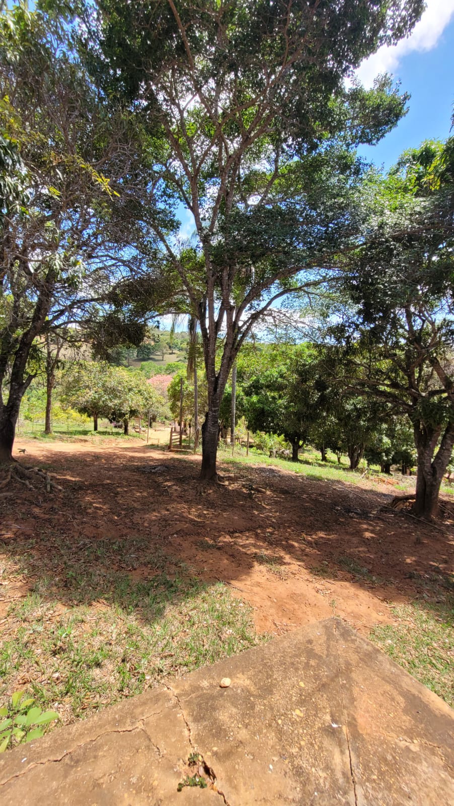 WhatsApp Image 2026-04-15 at 13.51.52 (1)