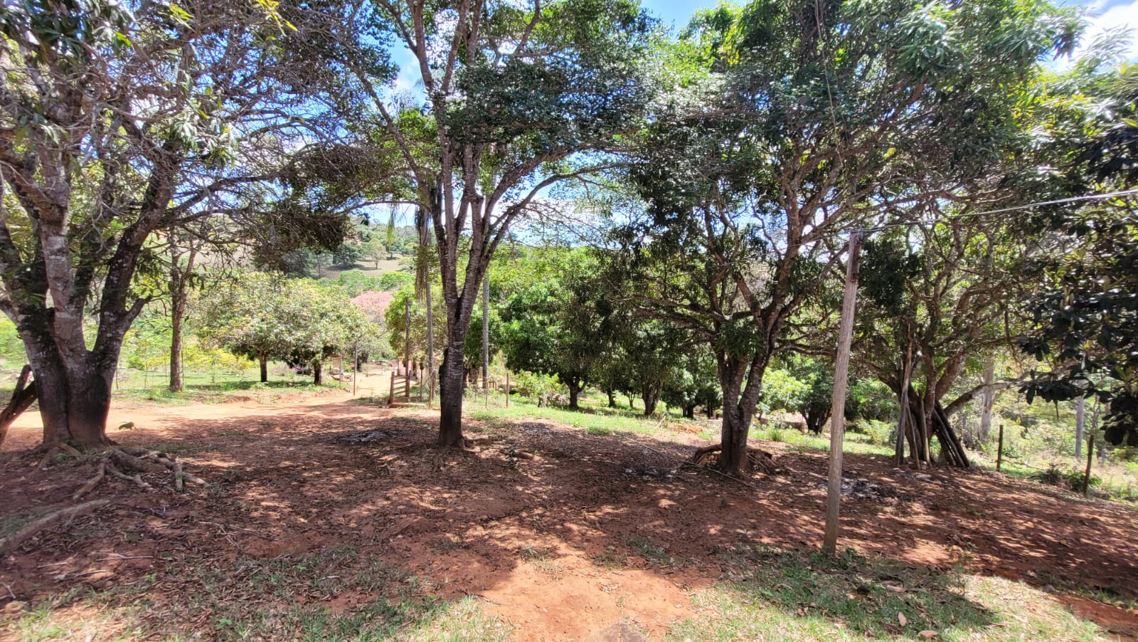 WhatsApp Image 2026-04-15 at 13.51.52 (3)