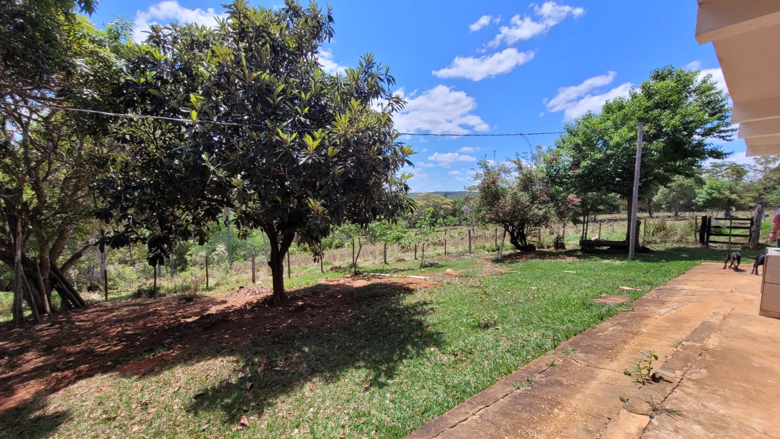 WhatsApp Image 2026-04-15 at 13.51.53 (1)