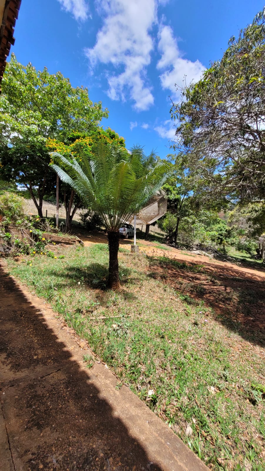 WhatsApp Image 2026-04-15 at 13.51.53