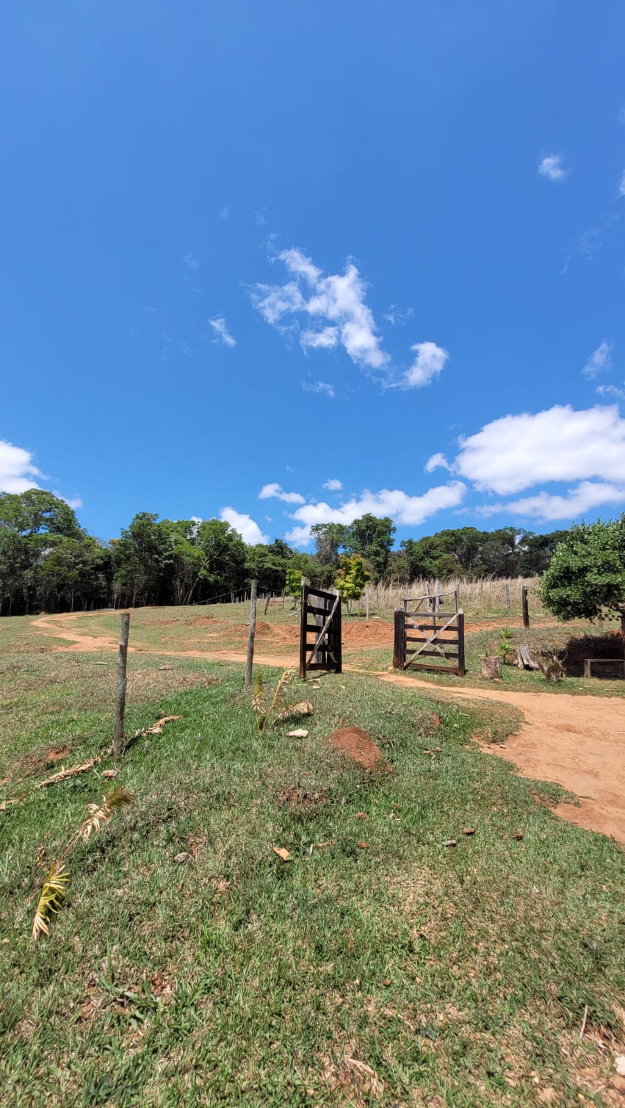 WhatsApp Image 2026-04-15 at 13.51.54 (3)