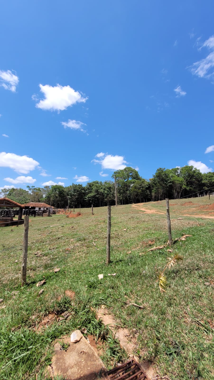 WhatsApp Image 2026-04-15 at 13.51.54