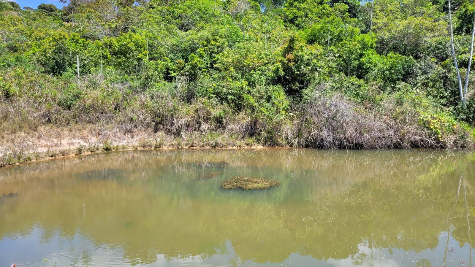 WhatsApp Image 2026-04-15 at 13.51.55 (2)