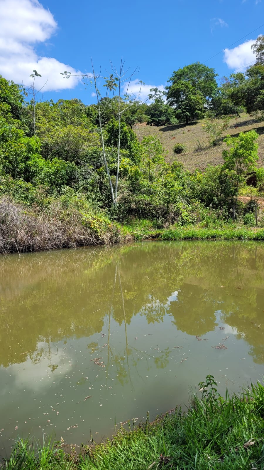 WhatsApp Image 2026-04-15 at 13.51.56