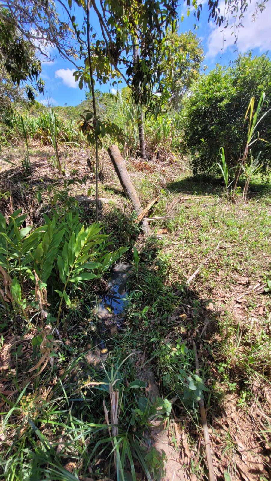 WhatsApp Image 2026-04-15 at 13.51.57 (1)