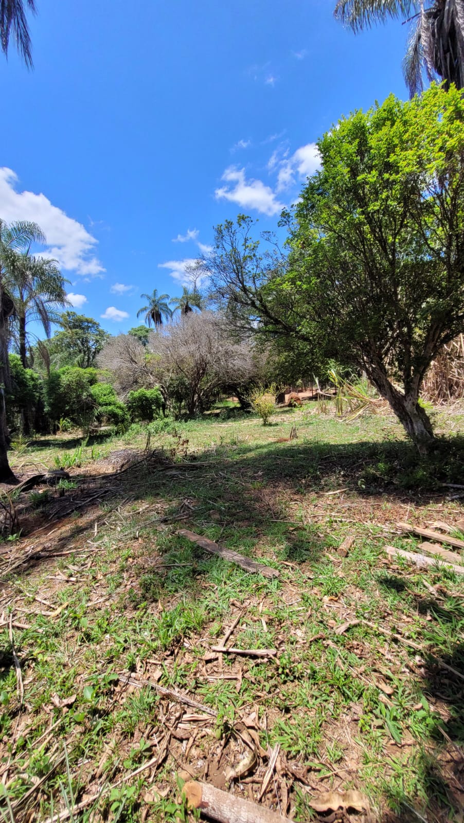 WhatsApp Image 2026-04-15 at 13.51.57 (2)