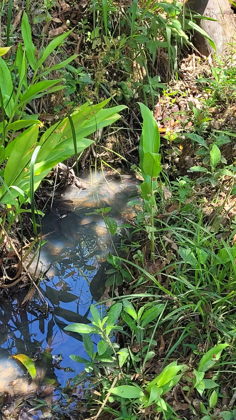 WhatsApp Image 2026-04-15 at 13.51.57