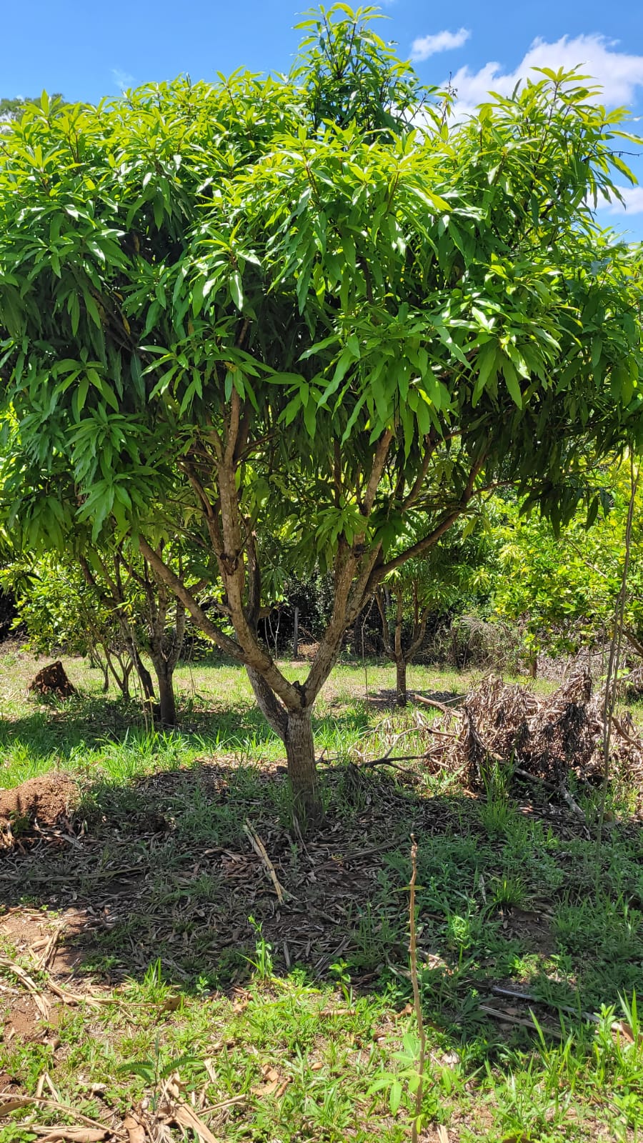 WhatsApp Image 2026-04-15 at 13.51.58 (2)