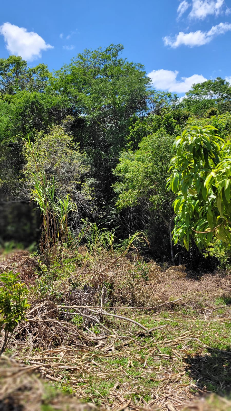 WhatsApp Image 2026-04-15 at 13.51.58 (3)