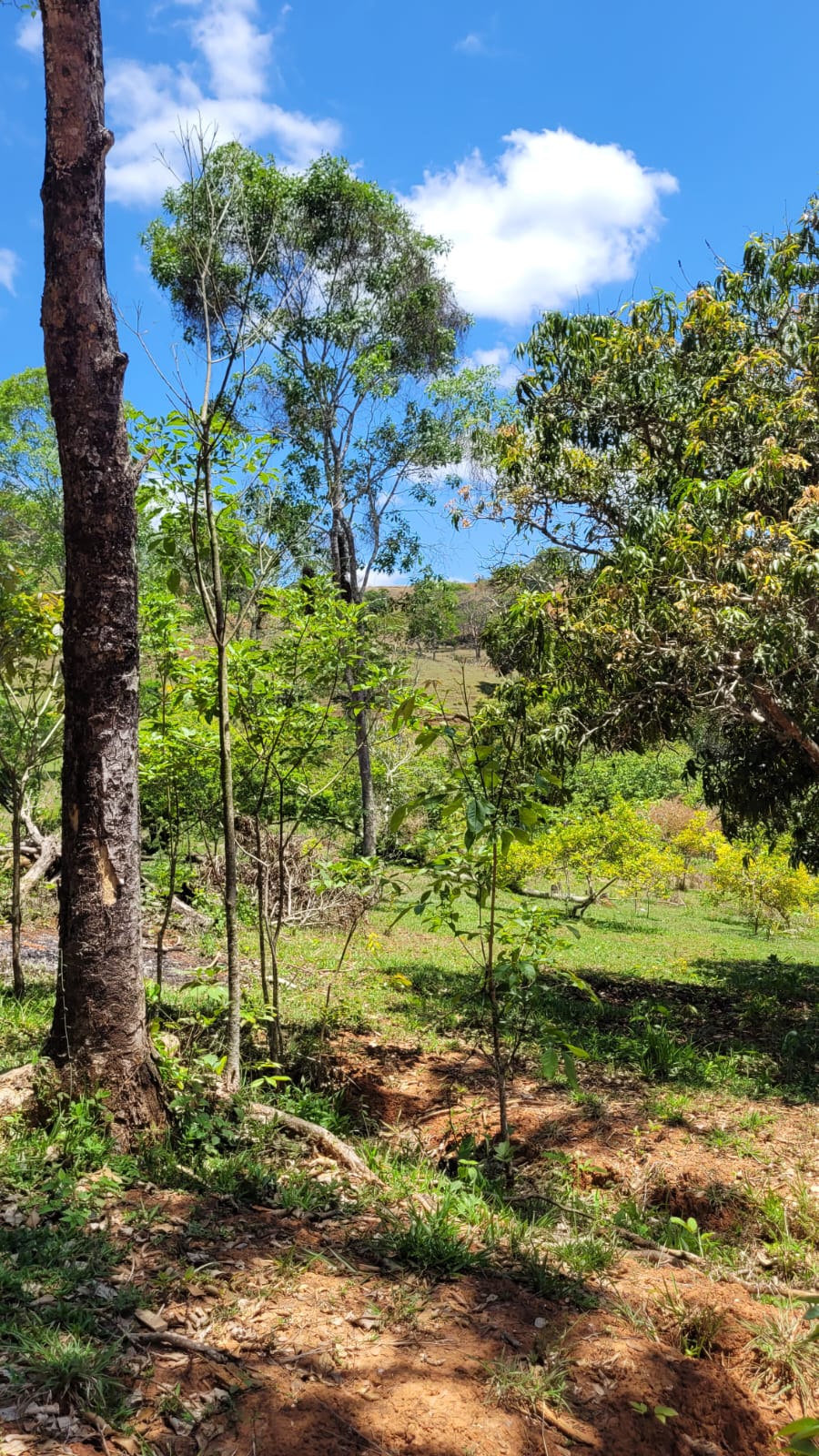 WhatsApp Image 2026-04-15 at 13.51.59 (3)