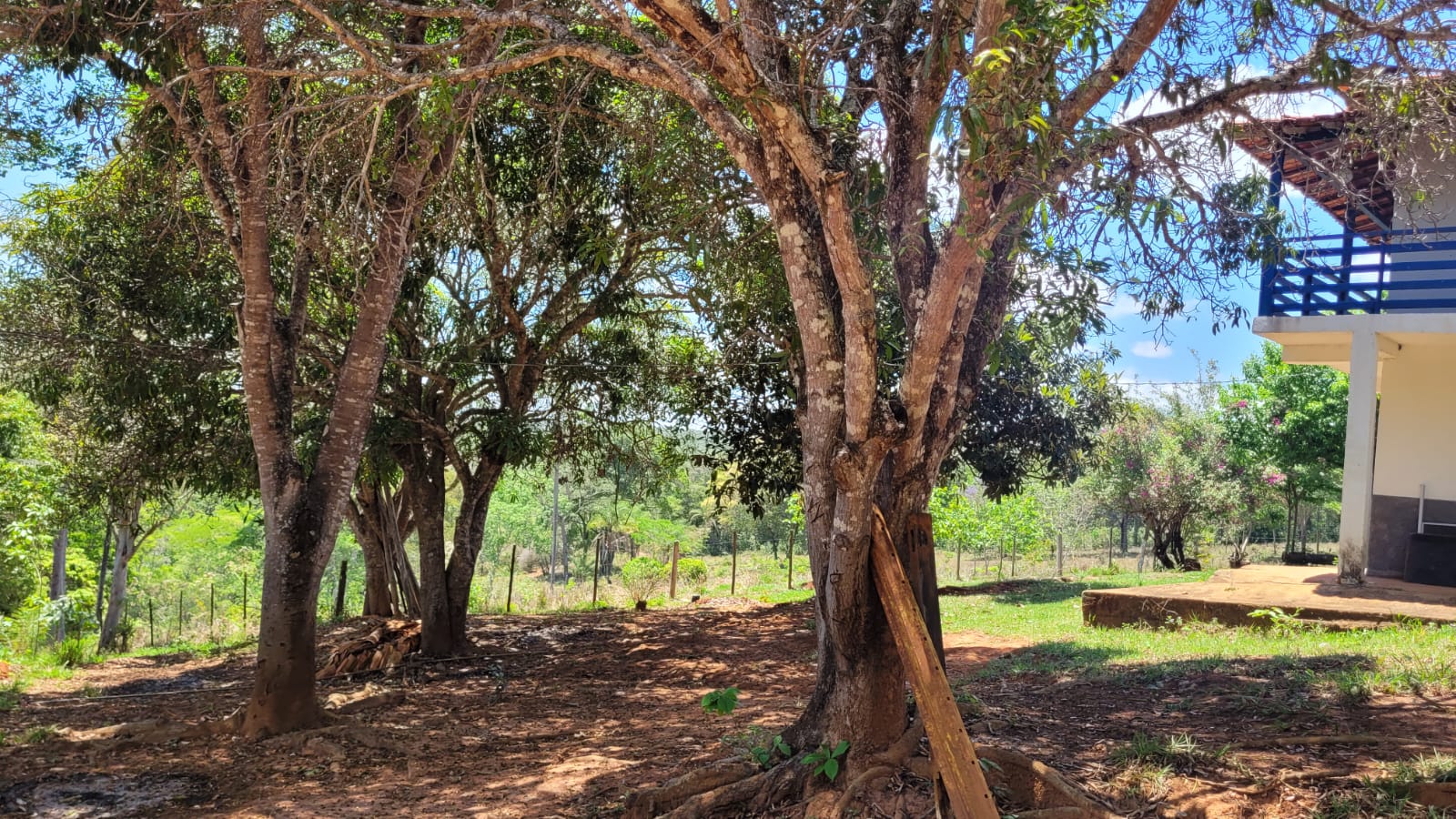 WhatsApp Image 2026-04-15 at 13.52.00 (2)