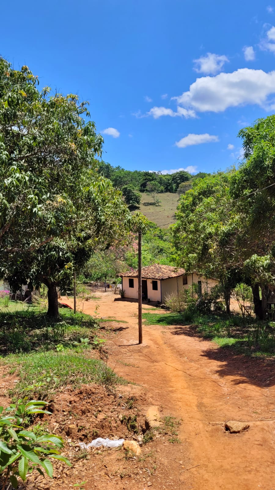 WhatsApp Image 2026-04-15 at 13.52.00