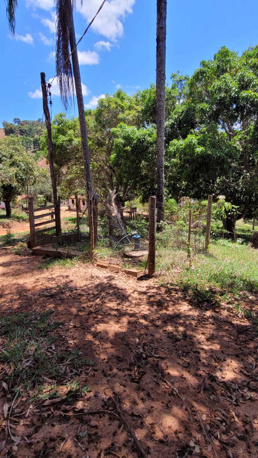 WhatsApp Image 2026-04-15 at 13.52.01 (3)