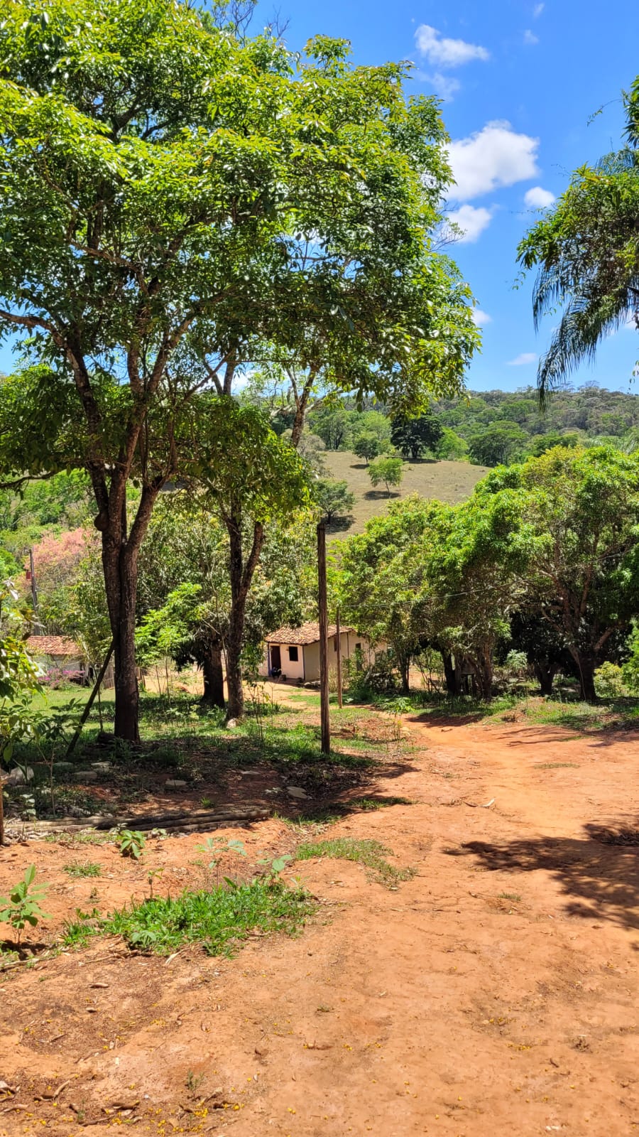 WhatsApp Image 2026-04-15 at 13.52.01