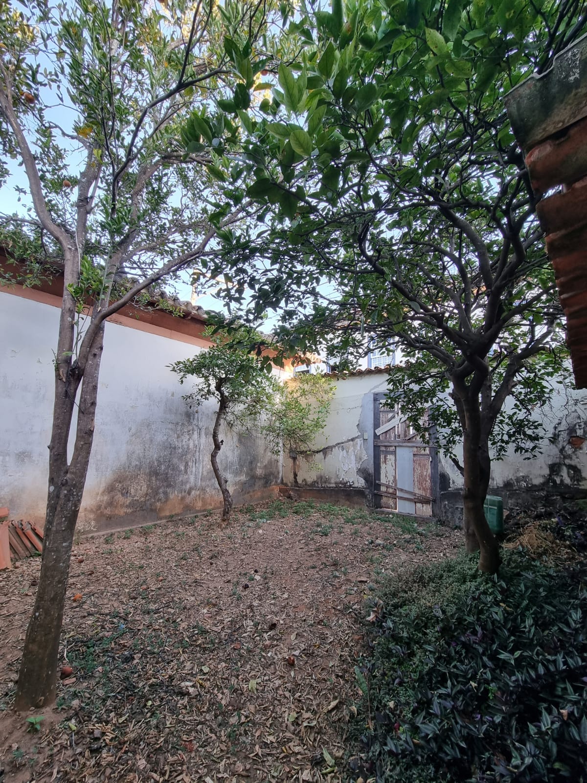 WhatsApp Image 2026-04-27 at 08.43.09